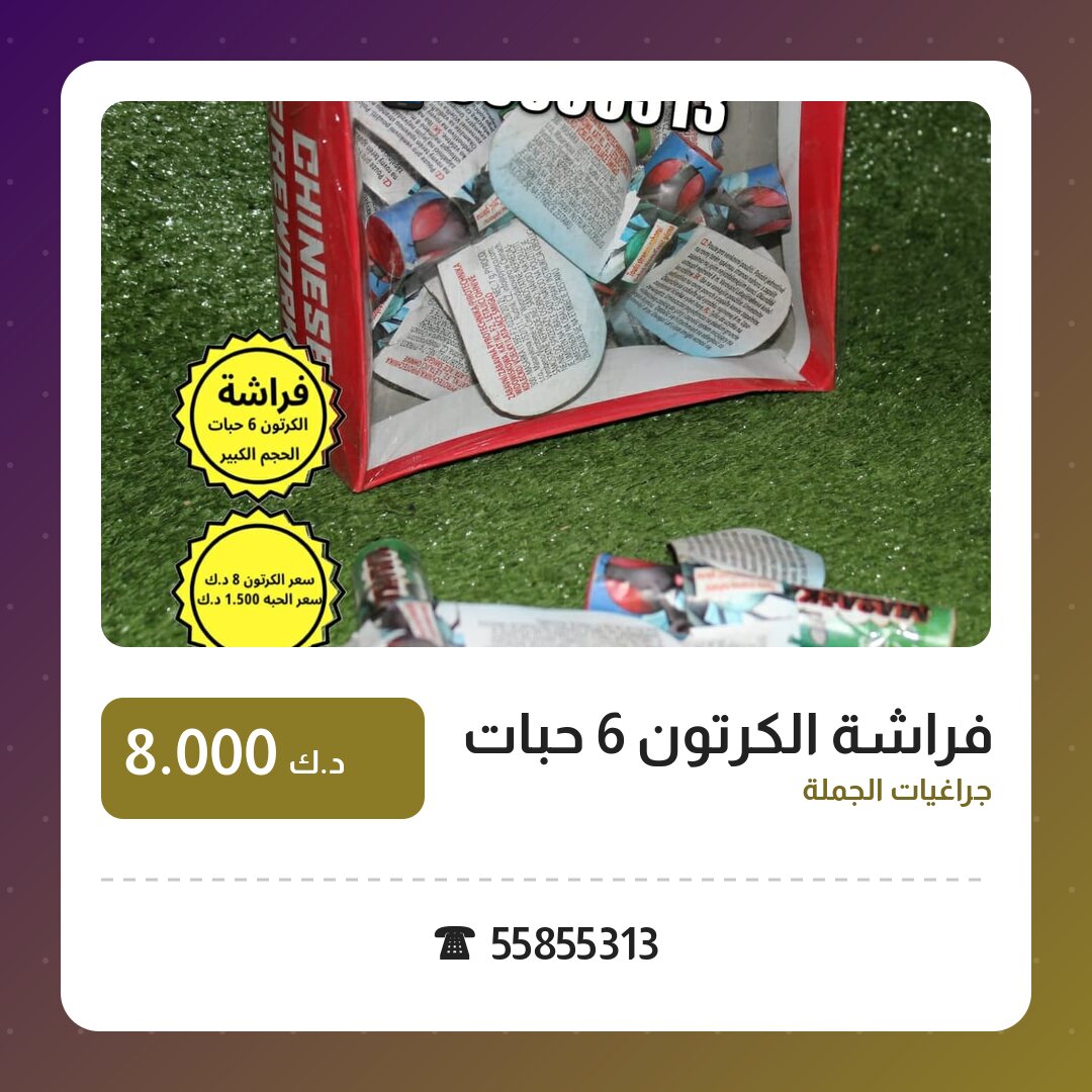 فراشة الكرتون 6 حبات الحجم الكبير: السعر والتفاصيل