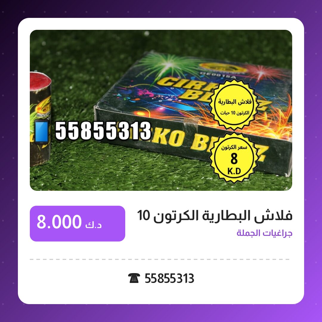 فلاش البطارية الكرتون 10 حبات: السعر والمواصفات الكاملة