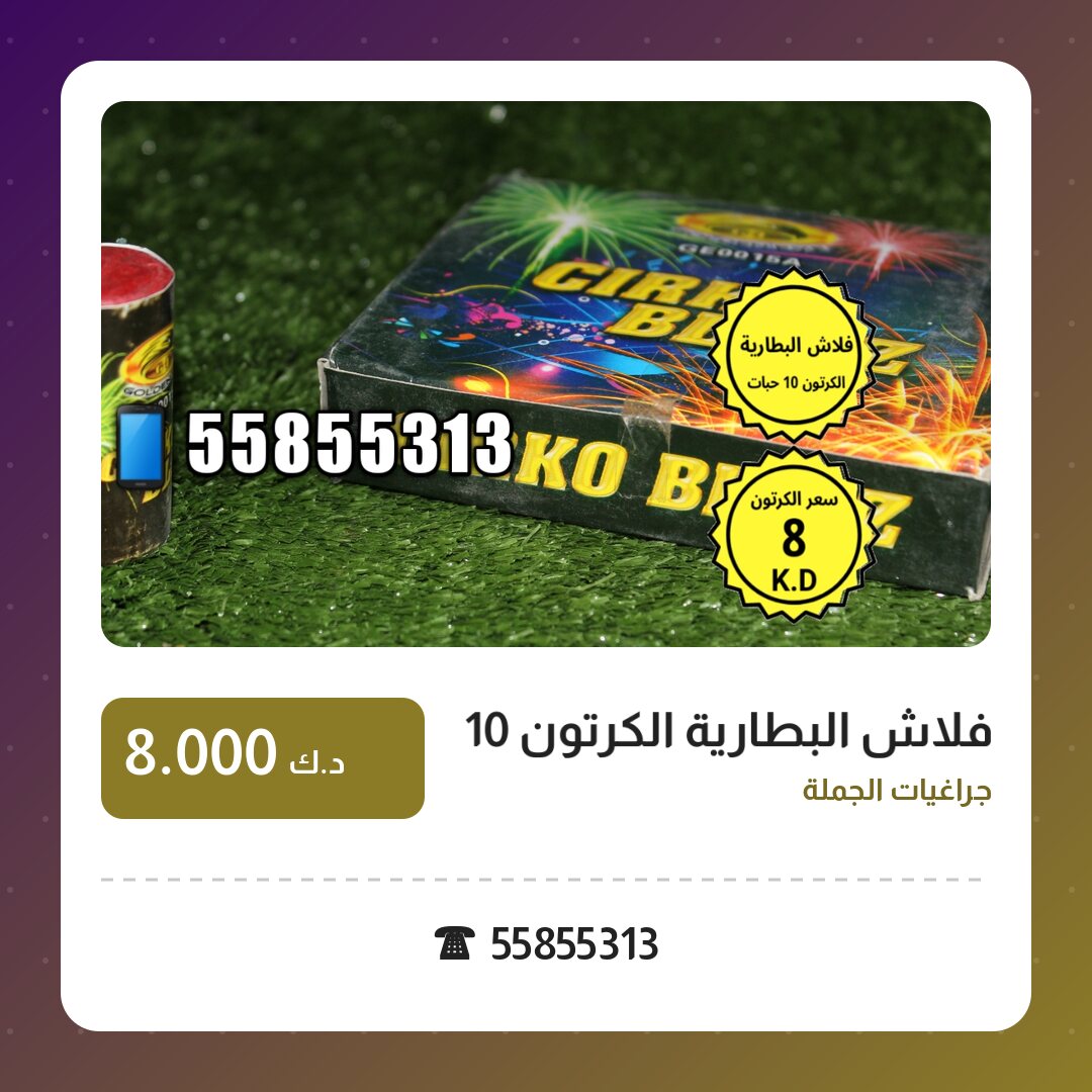 فلاش البطارية الكرتون 10 حبات: السعر والتفاصيل