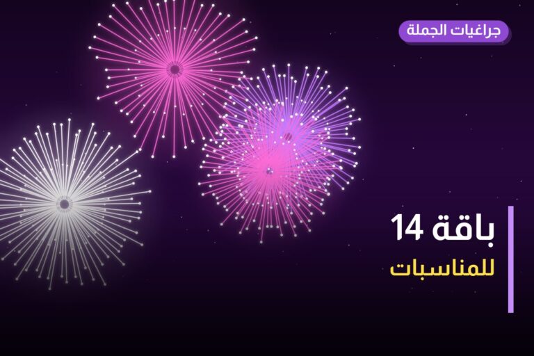 هل باقة 14 مناسب لمناسبتك؟ دليل الاختيار والسعر