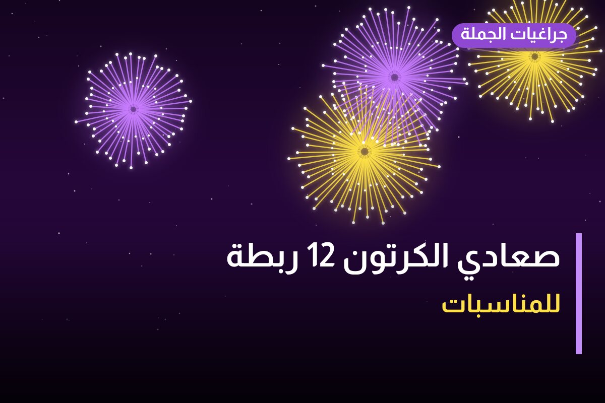 صعادي الكرتون 12 ربطة: السعر والمواصفات الكاملة