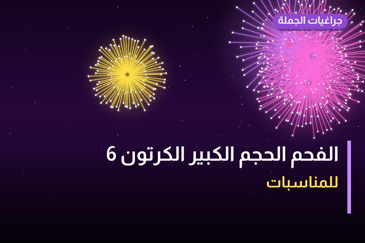 الفحم الحجم الكبير الكرتون 6 حبات: السعر والتفاصيل