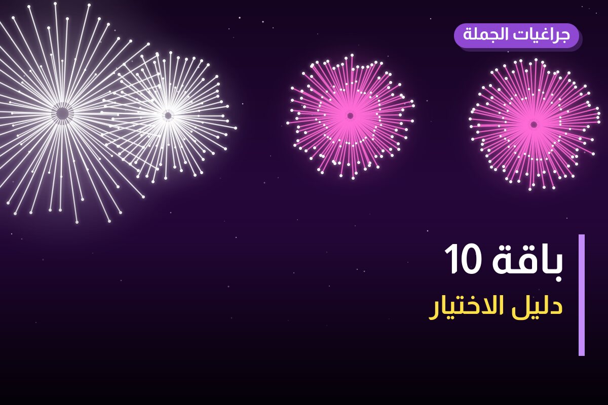 دليل باقة 10: كل ما تحتاج معرفته قبل الطلب