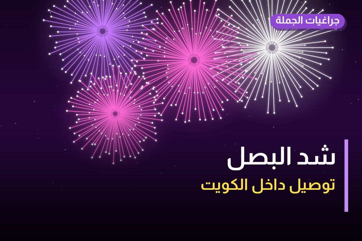 هل شد البصل مناسب لمناسبتك؟ دليل الاختيار والسعر